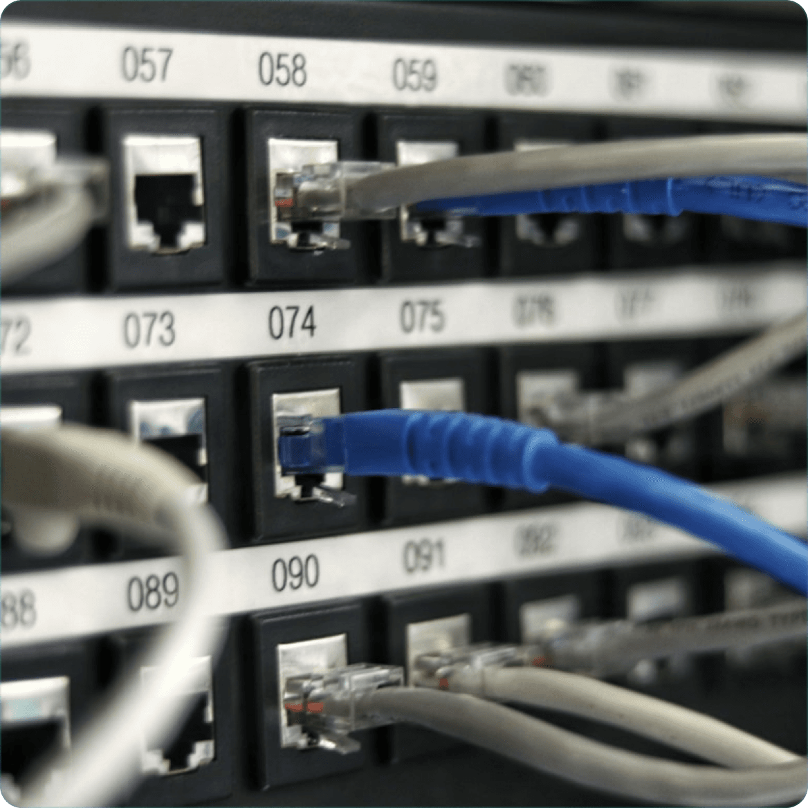Network cables connected in a server rack